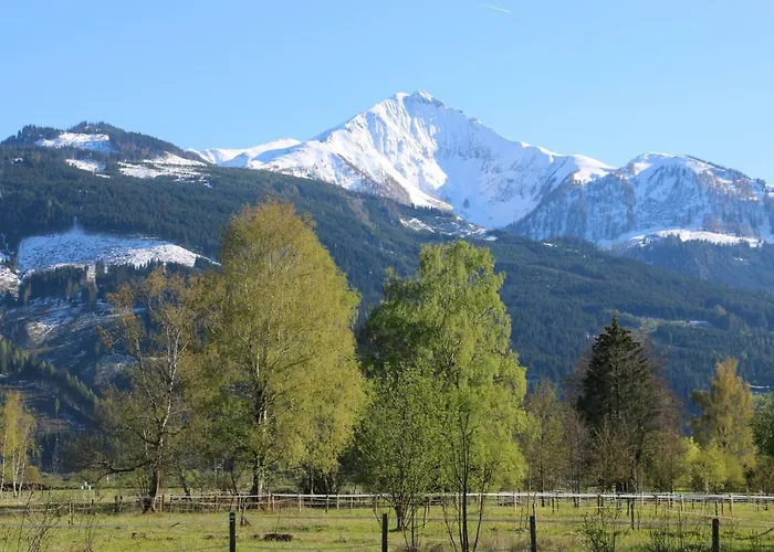 شقة بولز استوديو كابرون