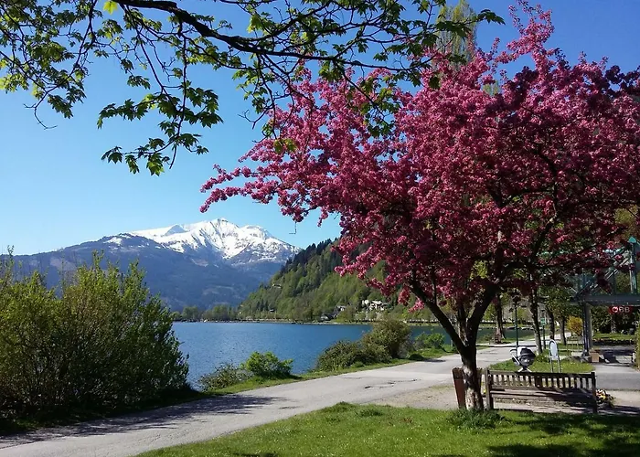 بولز استوديو *